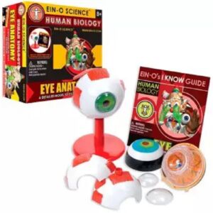 Modelo Armable Ojo 2381